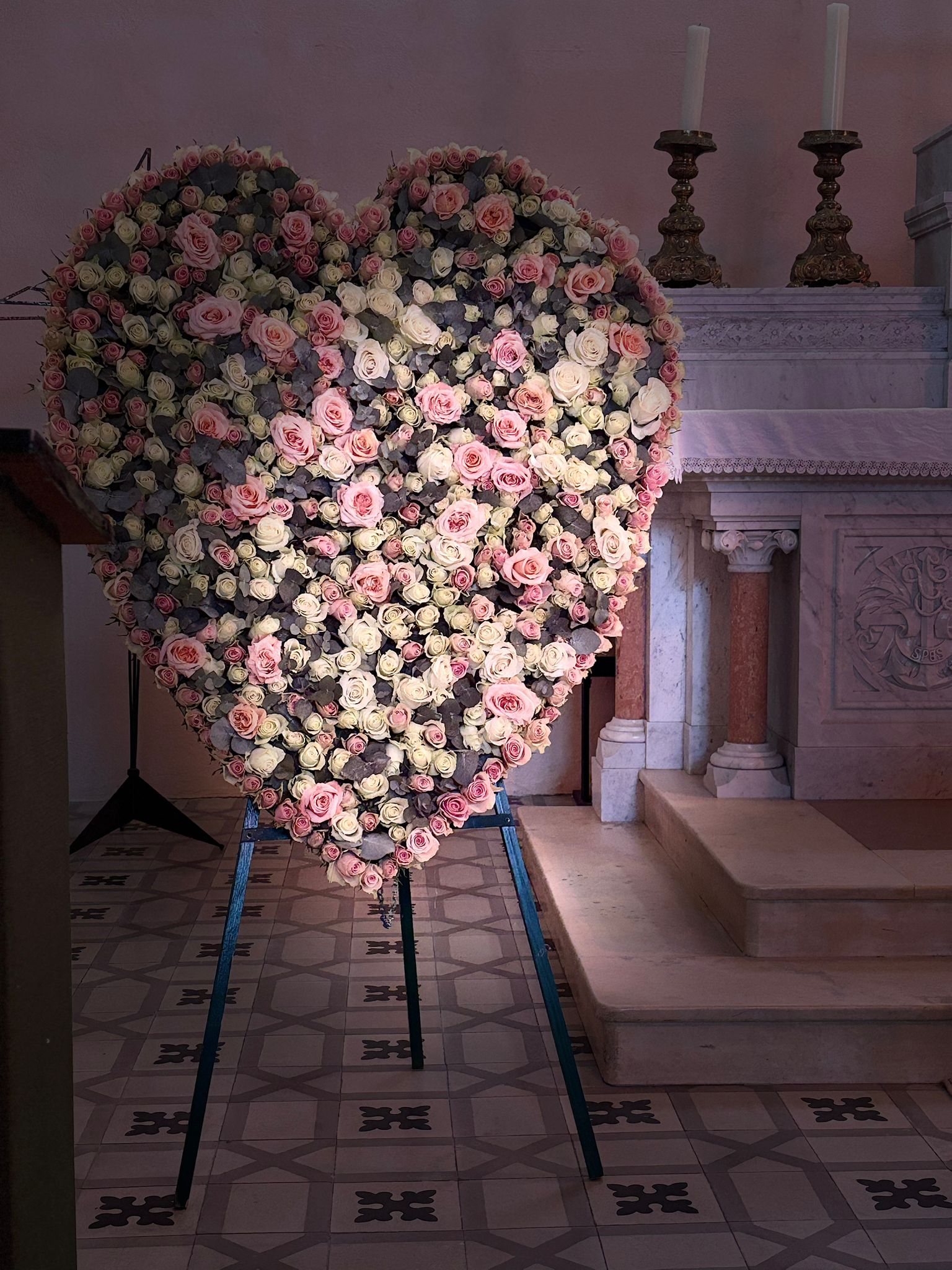 WhatsApp Image 2026-02-18 at 09.08.58